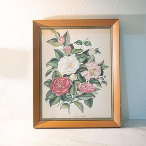 Vintage Eugene Arthur Camellia Floral Print in Wood Frame